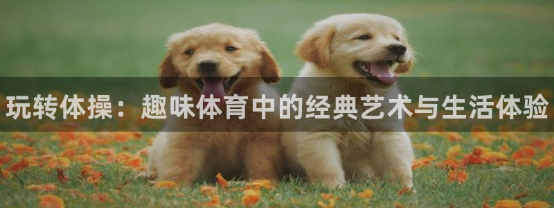 vsport体育官方正版app娱乐首页网站大全：玩转