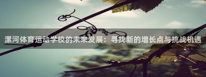 vsport体育官网下载软件：漯河体育运动学校的未来发展：寻