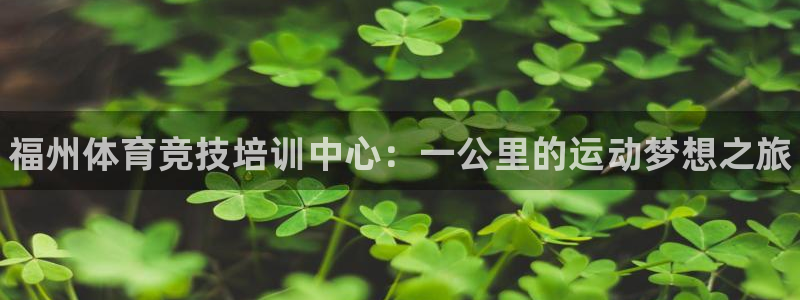vsport体育官方正版app新能源：福州体育竞技培训中心：