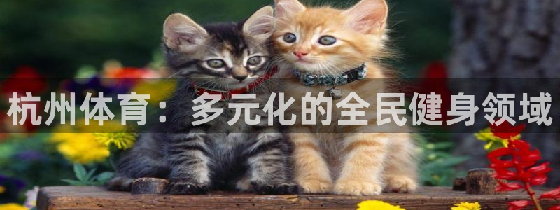 vsport体育官网下载平台注册要钱吗是真的吗：杭州