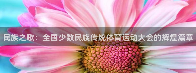 vsport体育官网下载平台假的吗是真的吗：民族之歌