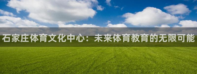vsport体育官方正版app娱乐：石家庄体育文化中
