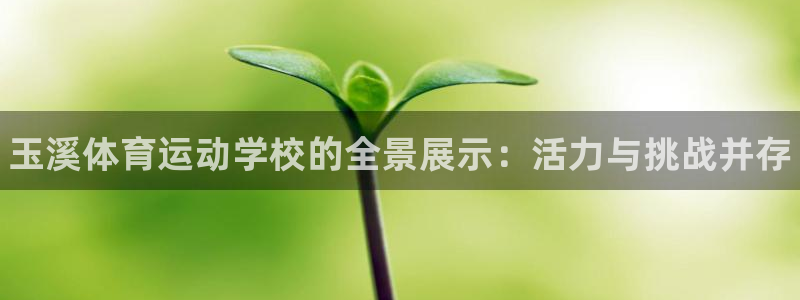海南vsport体育官网下载发展怎么样：玉溪体育运动学校的全