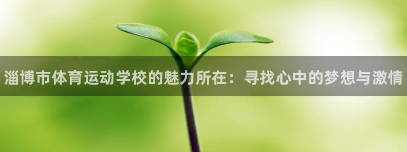 vsport体育官网下载招商：淄博市体育运动学校的魅力所在：