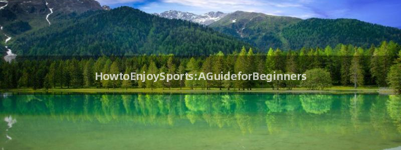 vsport体育官方正版app官网：HowtoEnj