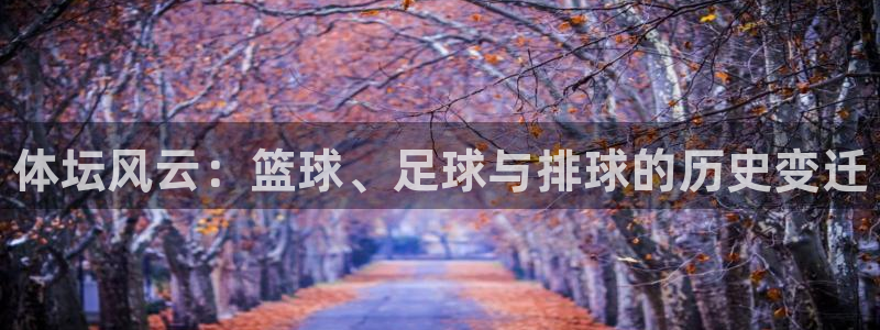 vsport体育官网下载是干嘛的公司：体坛风云：篮球