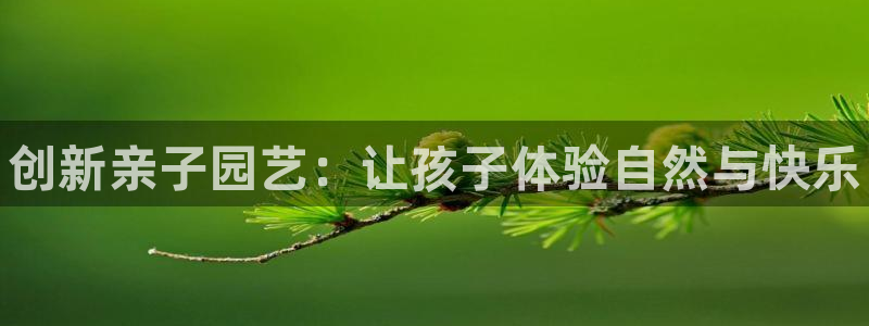 vsport体育官网下载平台假的吗是真的吗：创新亲子