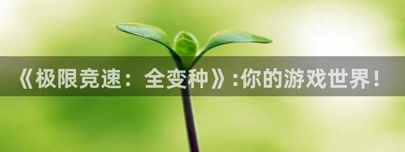 vsport体育官网下载招商电话地址查询：《极限竞速