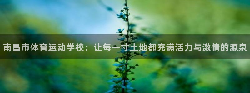 vsport体育官网下载平台APP：南昌市体育运动学校：让每