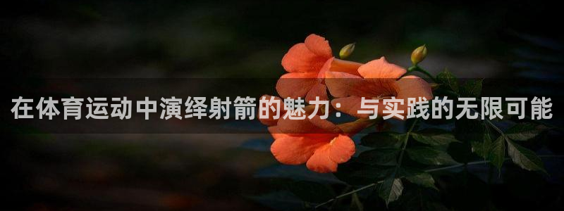 vsport体育官方正版app娱乐首页网站大全：在体