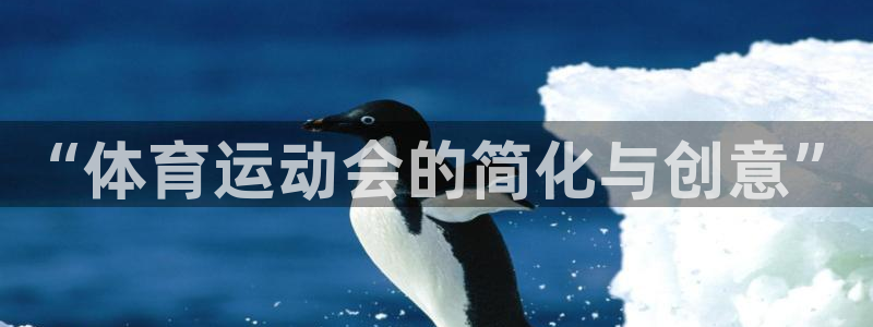 vsport体育官方正版app娱乐是那个系列的台子：“体育运