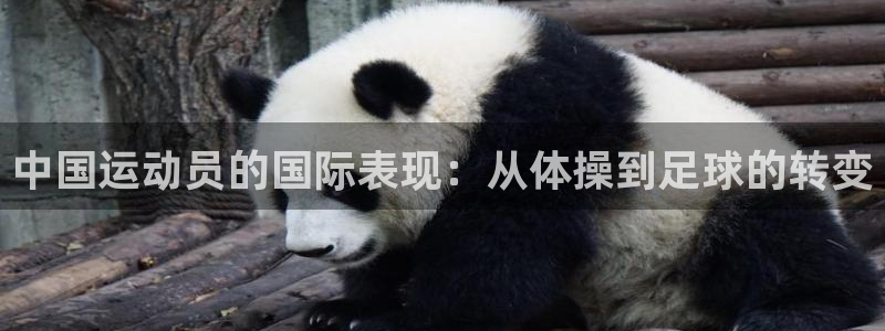 vsport体育官方正版app娱乐首页官网下载:中国运动员的