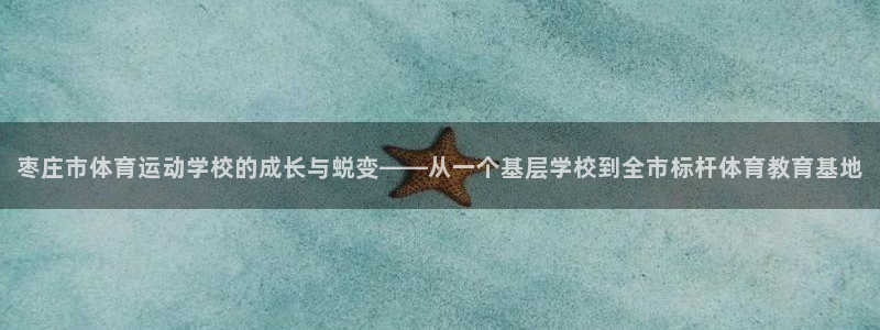 vsport体育官方正版app娱乐首页官网下载：枣庄