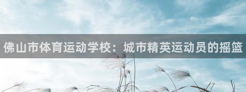 德国vsport体育官方正版app集团：佛山市体育运