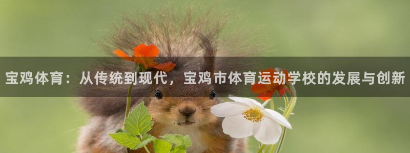 vsport体育官网下载招商电话地址查询：宝鸡体育：从传统到