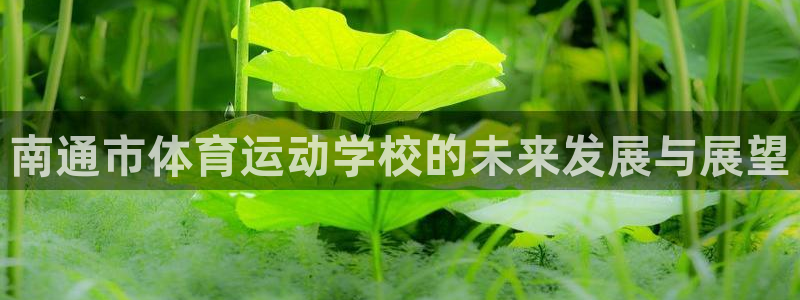 海南vsport体育官网下载发展怎么样：南通市体育运动学校的