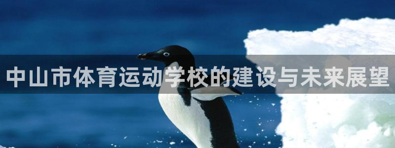 vsport体育官网下载平台假的吗是真的吗：中山市体育运动学