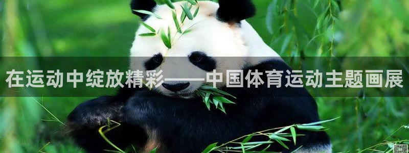 vsport体育官方正版app集团：在运动中绽放精彩