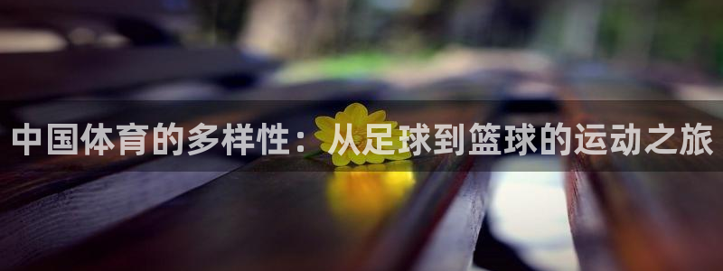 vsport体育官网下载注册：中国体育的多样性：从足