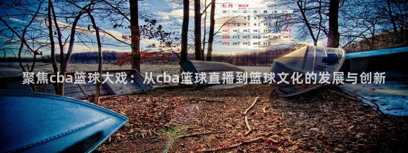 足球直播山猫高清直播