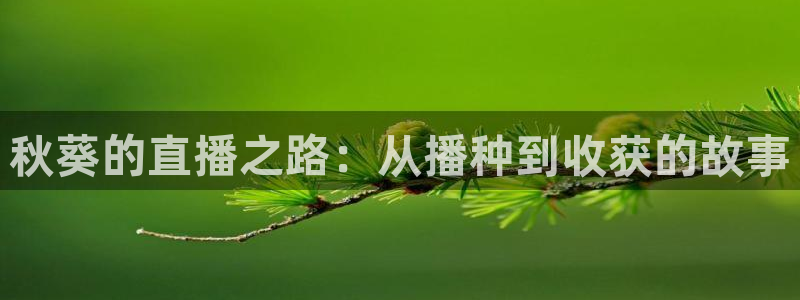 山猫直播足球免费直播在线观看