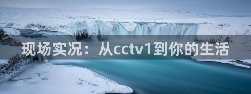 山猫体育赛事：现场实况：从cctv1到你的生活