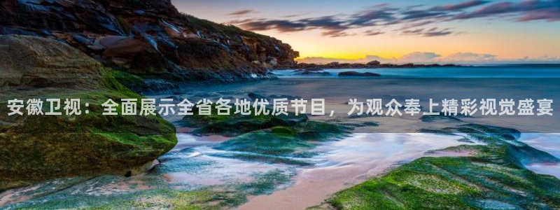 山猫在线体育直播：安徽卫视：全面展示全省各地优质节目，为观众奉上精彩视觉盛宴