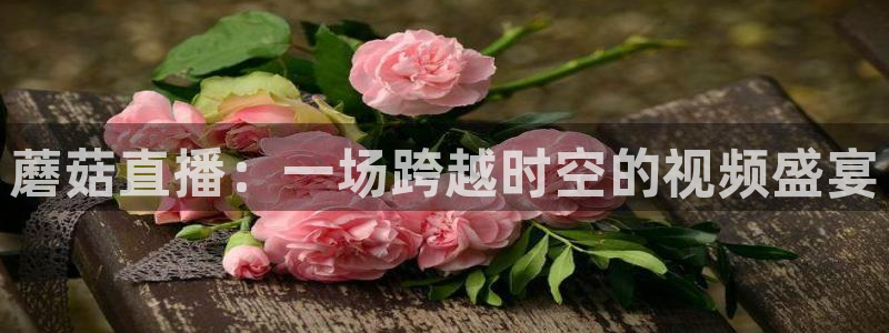 山猫足球直播