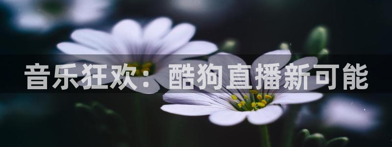 山猫体育五大联赛免费直播