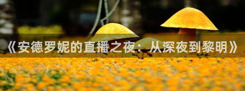 山猫体育直播在线：《安德罗妮的直播之夜：从深夜到黎明》