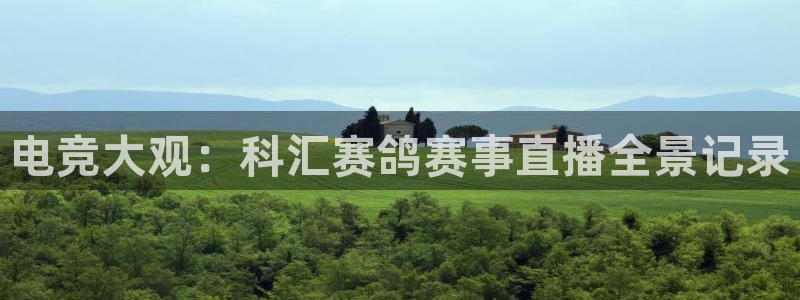 山猫体育直播节目表