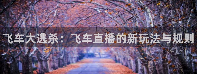 山猫体育直播：飞车大逃杀：飞车直播的新玩法与规则