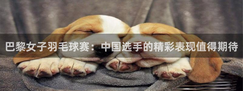 山猫足球直播免费观看：巴黎女子羽毛球赛：中国选手的精彩表现值得期待