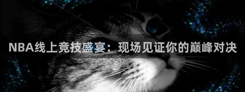 山猫tv篮球直播：NBA线上竞技盛宴：现场见证你的巅峰对决