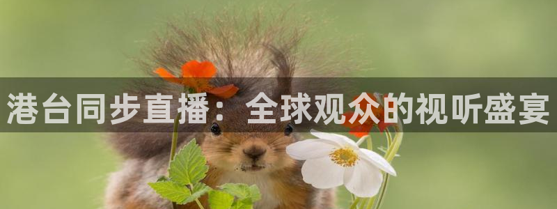 山猫足球体育直播