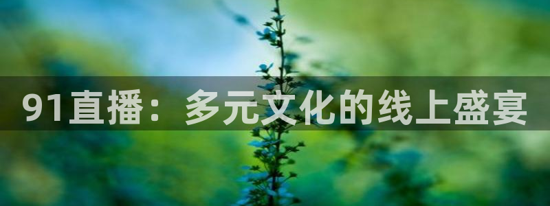 山猫免费直播nba：91直播：多元文化的线上盛宴